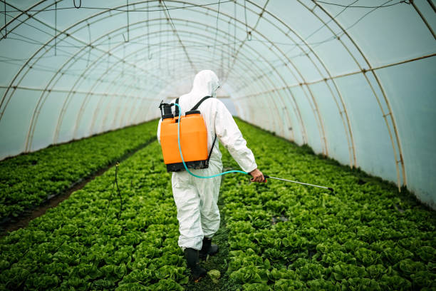 Reliable Bunnell, FL Pest Control Solutions
