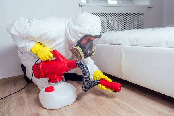 Best Local Pest Control Services  in Bunnell, FL