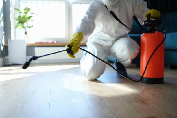 Insect Control in Bunnell, FL