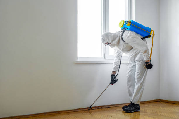 Best Pest Control for Businesses  in Bunnell, FL