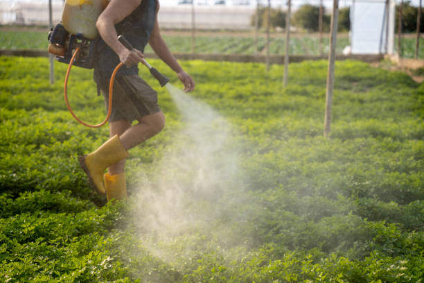 Best Pest Control Near Me  in Bunnell, FL